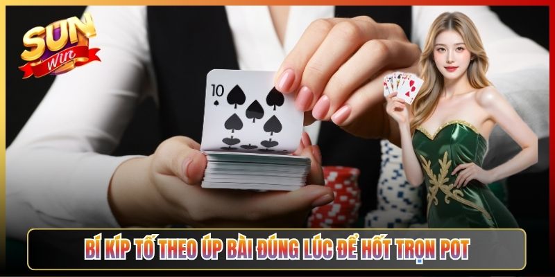 Bí Kíp Tố Theo Úp Bài Đúng Lúc Để Hốt Trọn Pot
